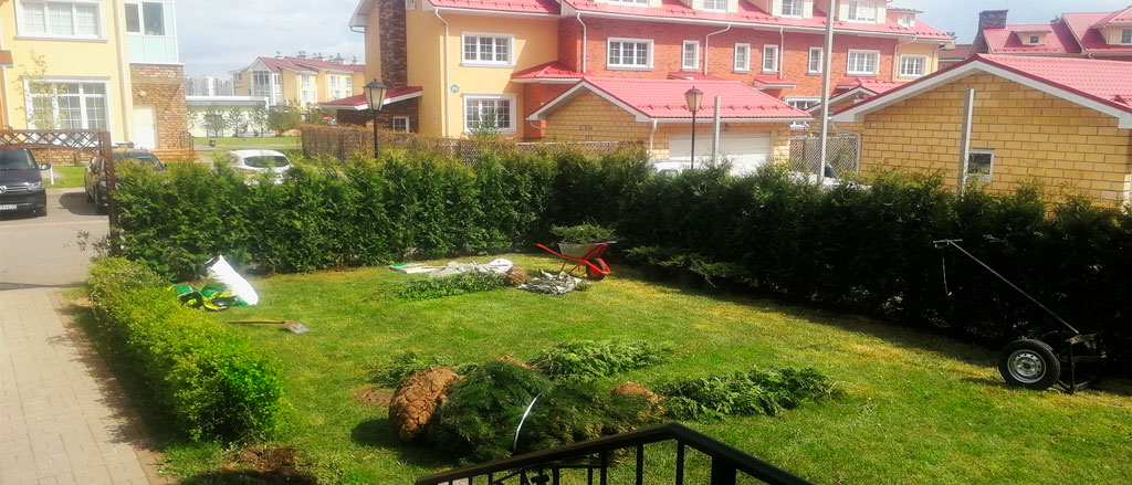 Дерево в ландшафтном дизайне сада