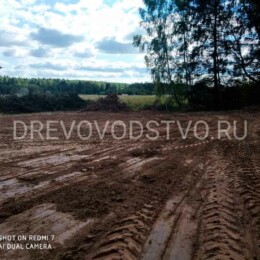 Drevovodstvo.ru - Расчистка участков