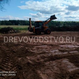 Drevovodstvo.ru - Расчистка участков