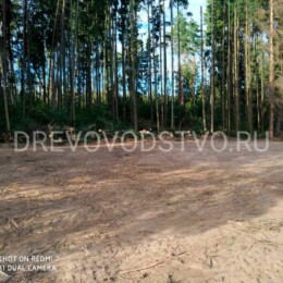 Drevovodstvo.ru - Расчистка участков