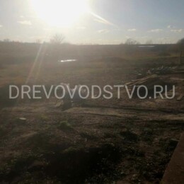 Drevovodstvo.ru - Расчистка участков