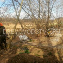 Drevovodstvo.ru - Расчистка участков