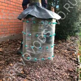 Drevovodstvo.ru-Лечение деревьев