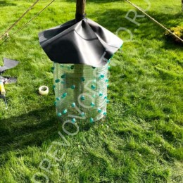 Drevovodstvo.ru-Лечение деревьев