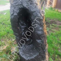 Drevovodstvo.ru-Лечение деревьев