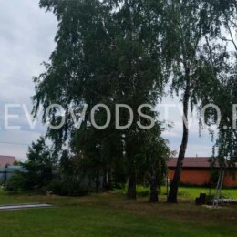 Drevovodstvo.ru-Удаление деревьев