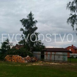 Drevovodstvo.ru-Удаление деревьев