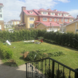 Drevovodstvo.ru-Посадка деревьев