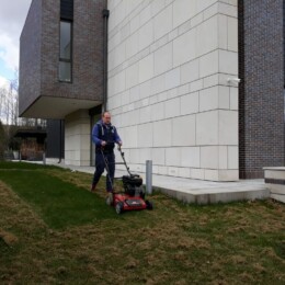 Drevovodstvo.ru-Скарификация газона