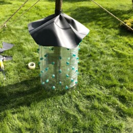 Drevovodstvo.ru-Лечение деревьев