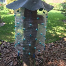 Drevovodstvo.ru-Лечение деревьев