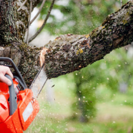 man cutting trees using an electrical chainsaw and professional tools Drevovodstvo.ru-Удаление деревьев