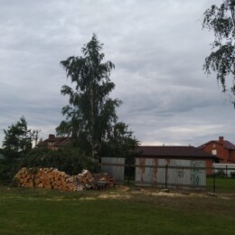 Drevovodstvo.ru-Удаление деревьев