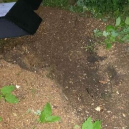 Drevovodstvo.ru-Удаление пней