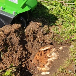 Drevovodstvo.ru-Удаление пней