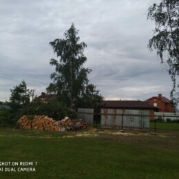 Drevovodstvo.ru - Расчистка участков