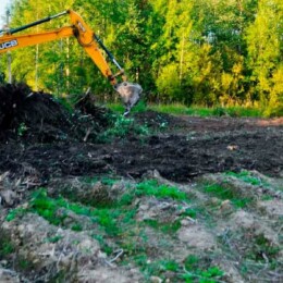 Drevovodstvo.ru - Расчистка участков