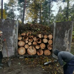 Вывоз и утилизация порубочных остатков