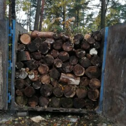 Вывоз и утилизация порубочных остатков