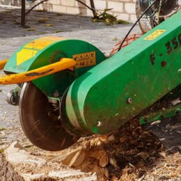 Drevovodstvo.ru-Удаление пней