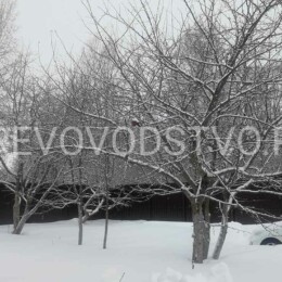 Drevovodstvo.ru-Обрезка деревьев