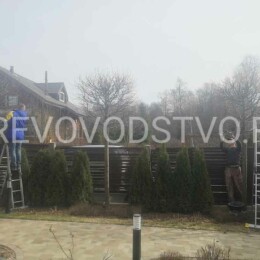 Drevovodstvo.ru-Обрезка деревьев